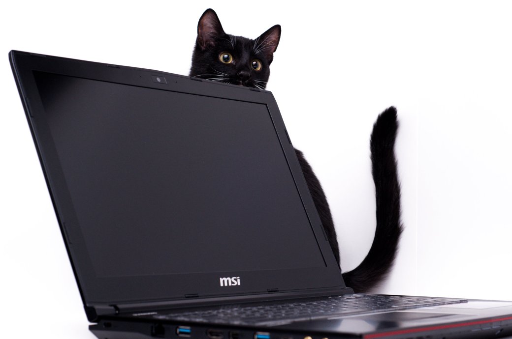 Тест игрового ноутбука MSI GE62VR Apache Pro. - Изображение 8 Тест игрового ноутбука MSI GE62VR Apache Pro. - Изображение 8