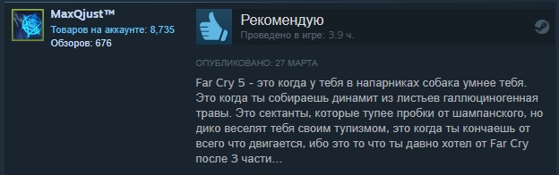 «Заслуживает своих денег»: отзывы пользователей Steam о Far Cry 5. - Изображение 9